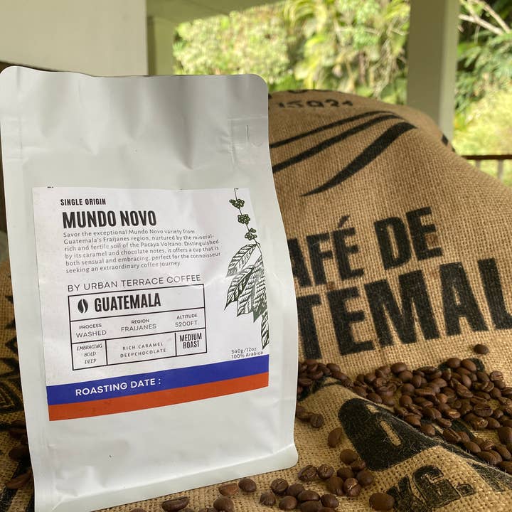 Mundo Novo 12oz Medium Roast | Guatemalansk specialkaffe för wholesale av Urban Terrace Coffee