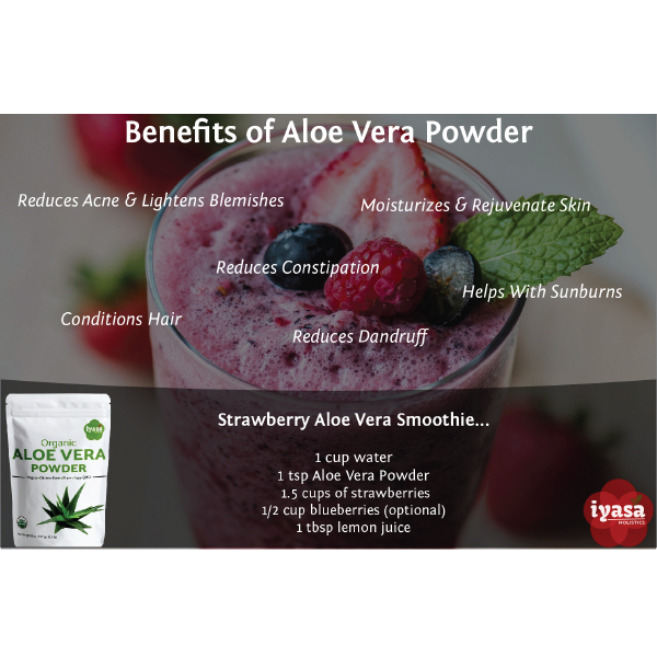 Iyasa Holistics – wholesale Oral supplement/vitamin – Organic Aloe Vera Powder6