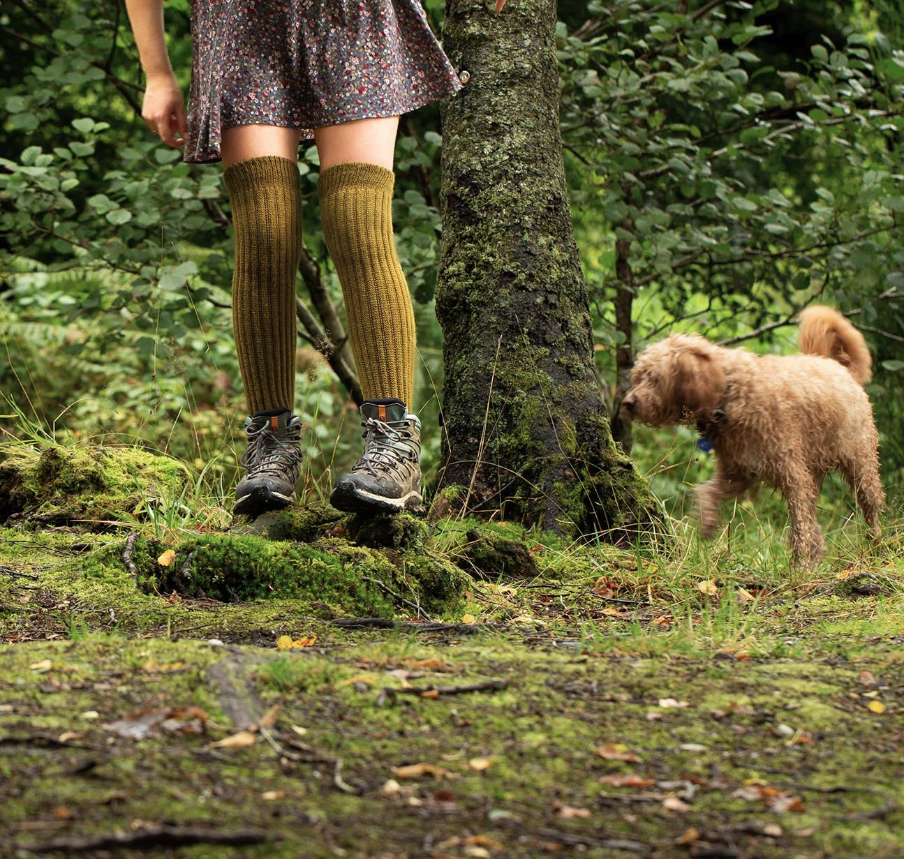 Samantha Holmes Alpaca Clothing and Gifts – Großhandel Socken – Damen – Damen Super Lange Alpaka Grobstrick-Rippensocken UK 4-8 US 6-5-1021