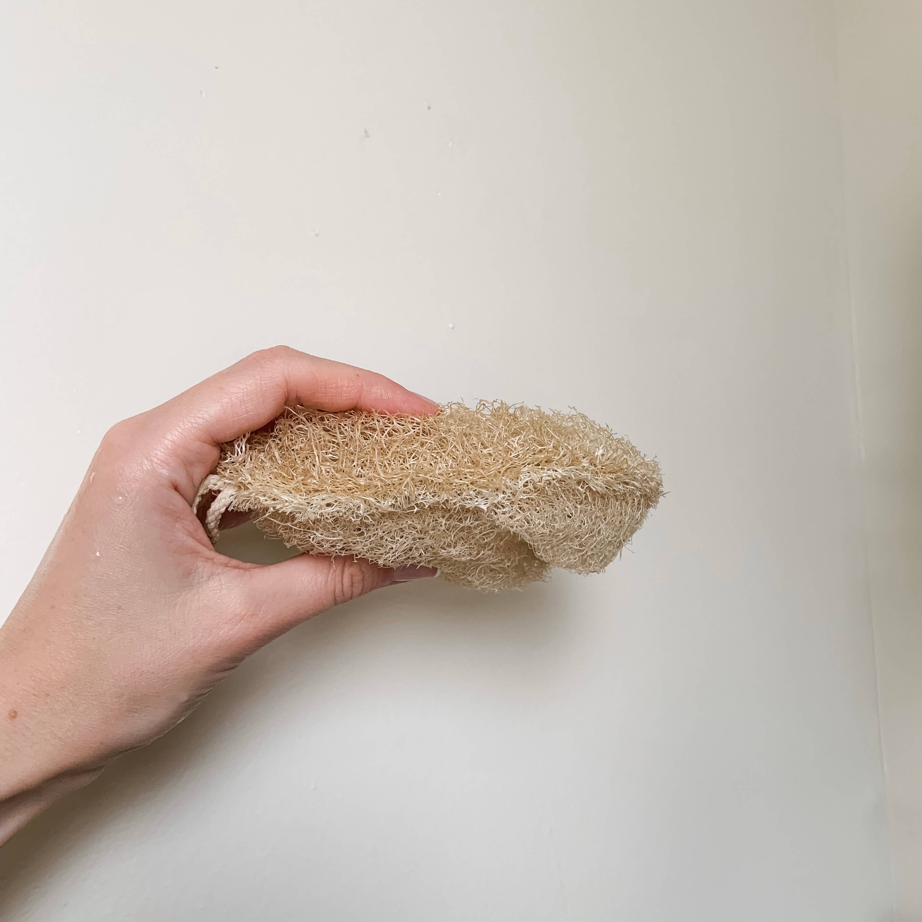 Earth Ahead - Wholesale Loofah - Double Layer Large Natural Loofah Sponge5