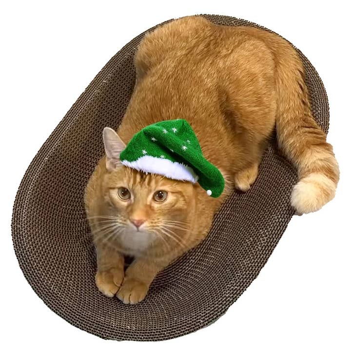 1 Klotterbräda för katter Oval Dyna Hållbar, Rolig och Klo-vänlig! 🐱 för wholesale av Designer Pet Products, LLC