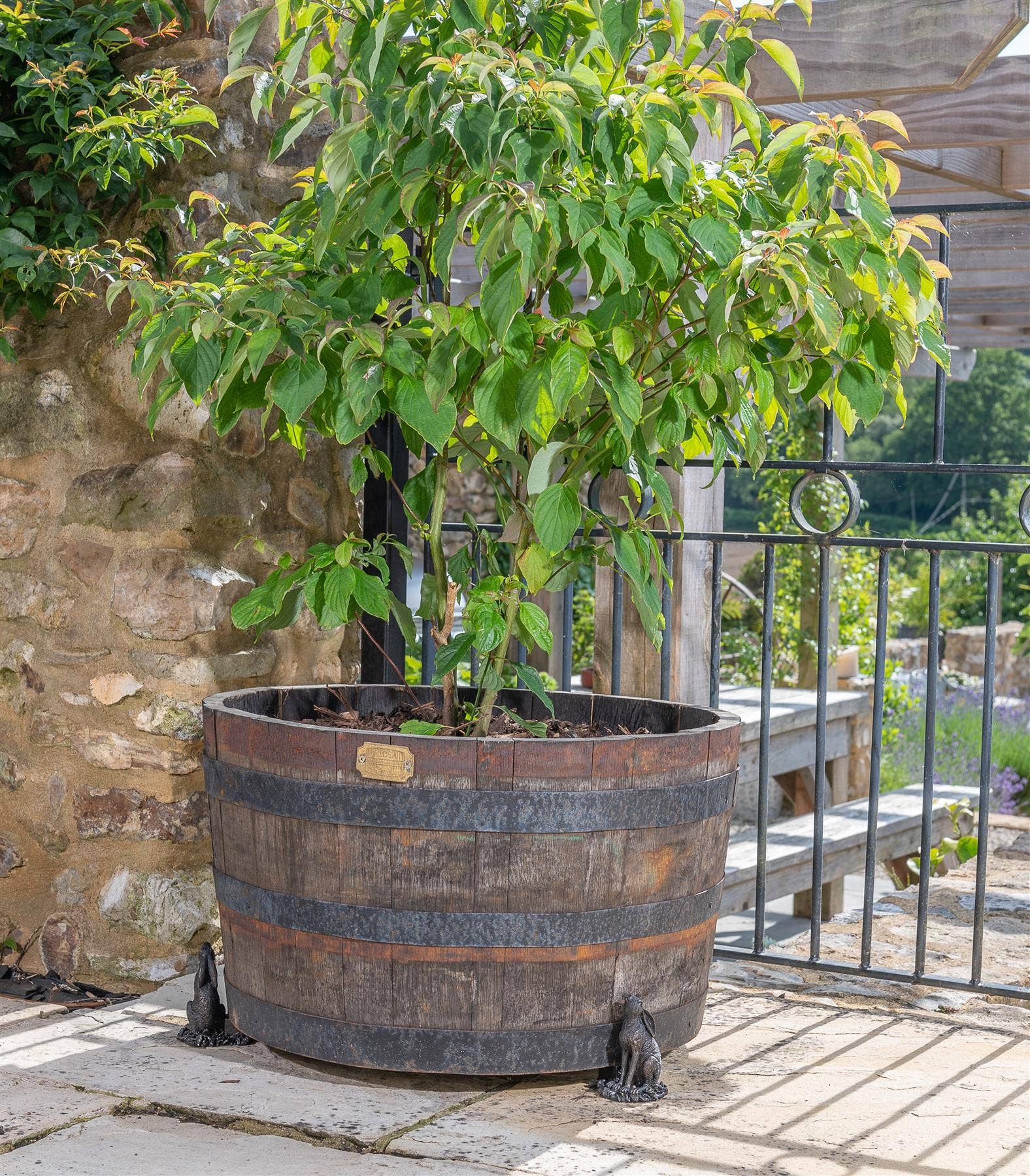 Jardinopia US - Wholesale Plant Pot - Moongazing Hare Plant Pot Feet - Set of 35