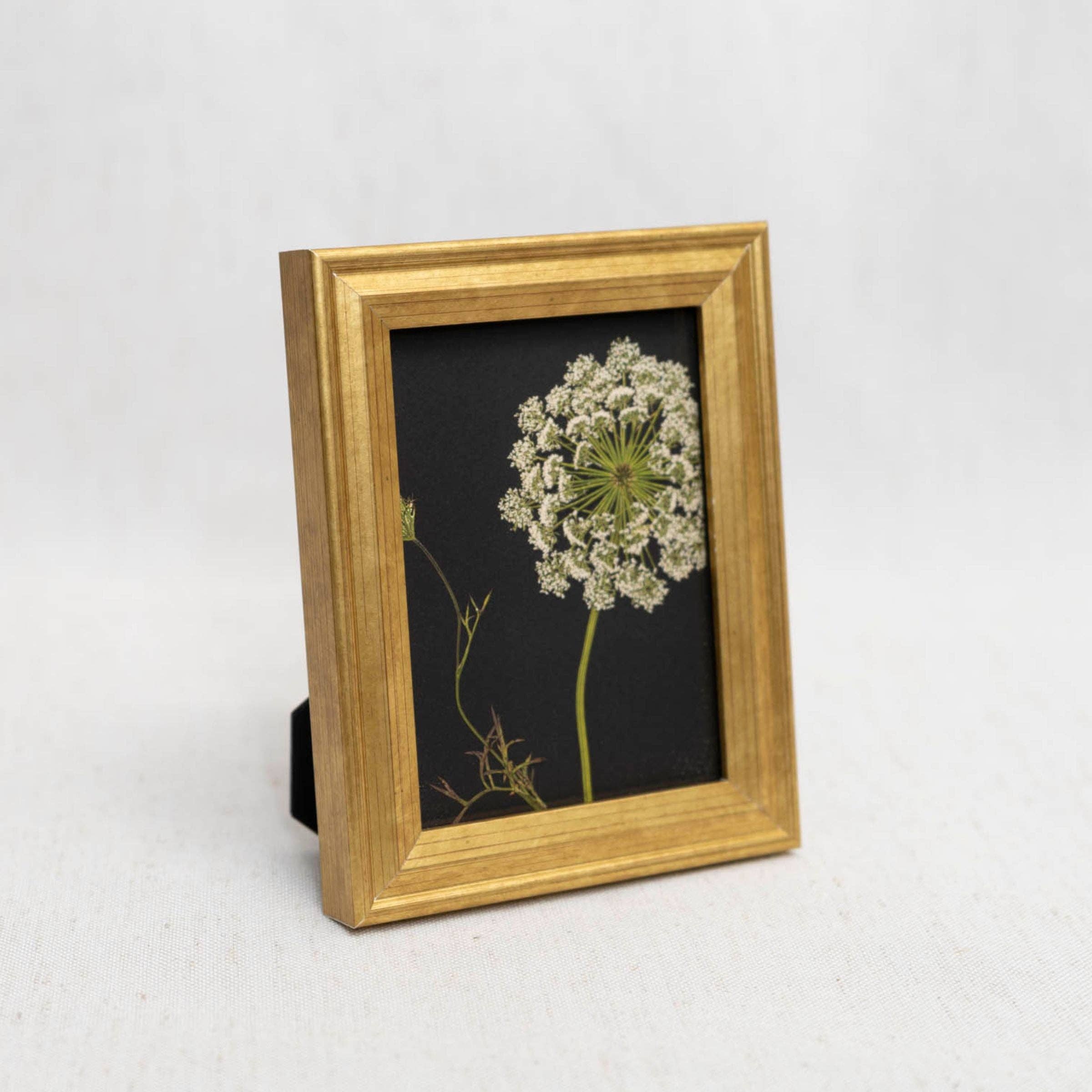 Hope Steinle Pressed Flower Art - Wholesale Art Print - Pressed Flower Framed Mini Print - "Lace & Light"1
