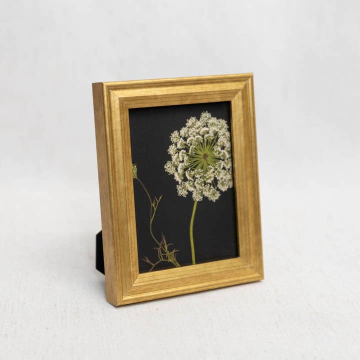 Hope Steinle Pressed Flower Art - Wholesale Art Print - Pressed Flower Framed Mini Print - "Lace & Light"1