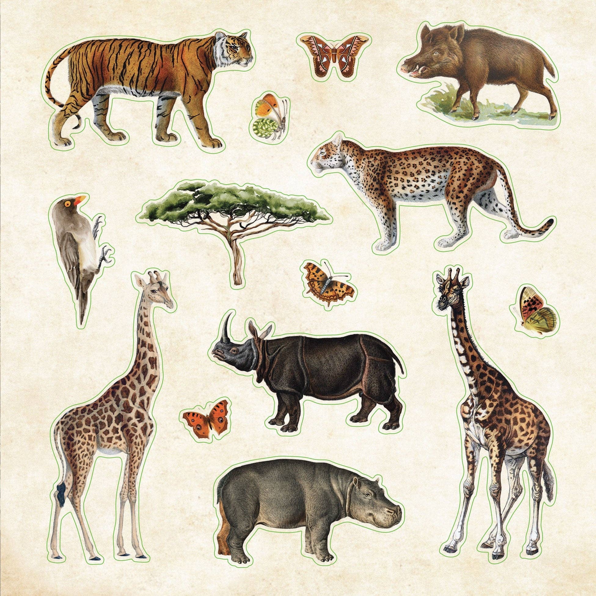Peter Pauper Press - Wholesale Sticker - Zoological Ephemera Sticker Book2