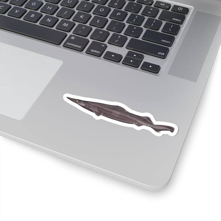 Stick Figure Fish - Wholesale Sticker - Arrowhead Dogfish Sticker13
