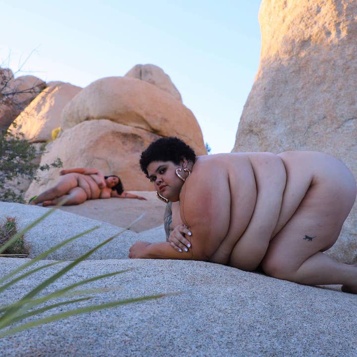 Boulders for wholesale by Shoog McDaniel