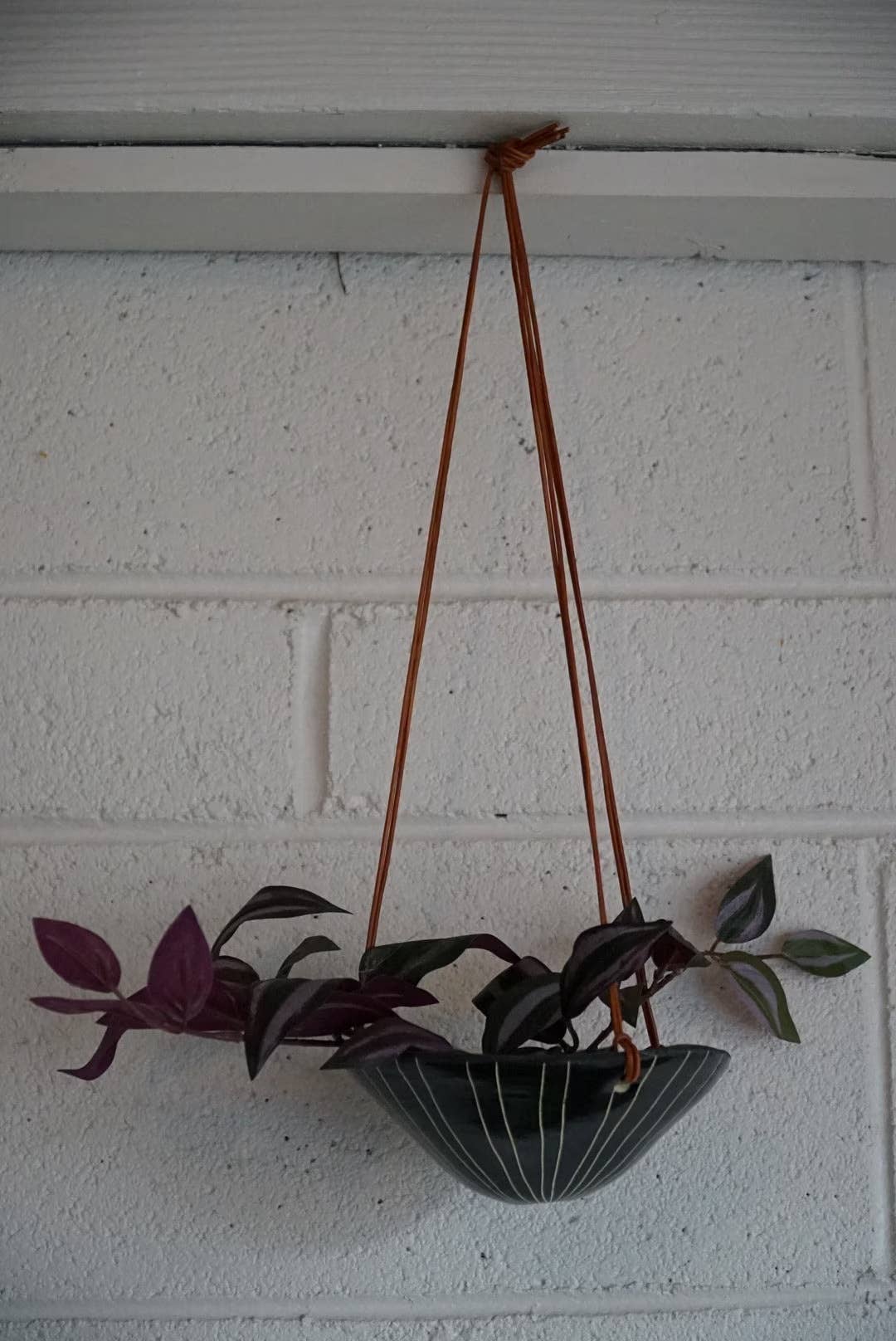 Half Light Honey - Wholesale Hanging Planter - Vertical Line Mini Hanging Planter in Black and White2