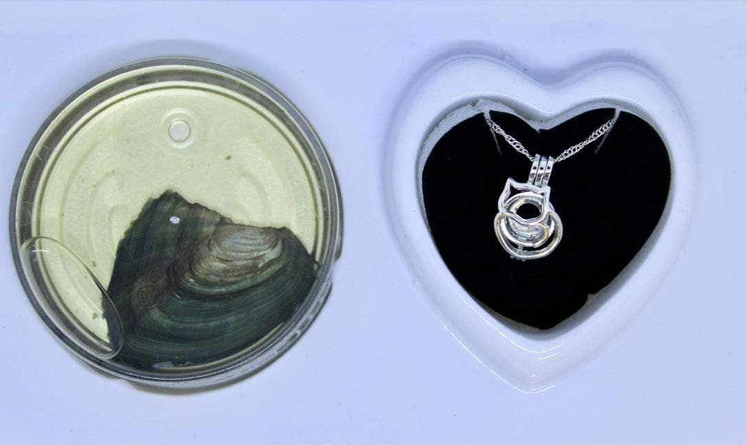 7 Star - Wholesale Pendant/Charm Necklace - "Purrfect Cat" Love Pearl Kit Chain Necklace Kit Pendant2