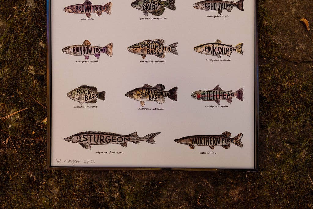 Home Squirrel - Wholesale Art Print - Fish of Michigan Watercolor Print5