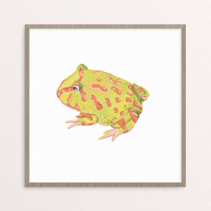 albino pacman frog giclee art print for wholesale by Stephanie Missan Studio