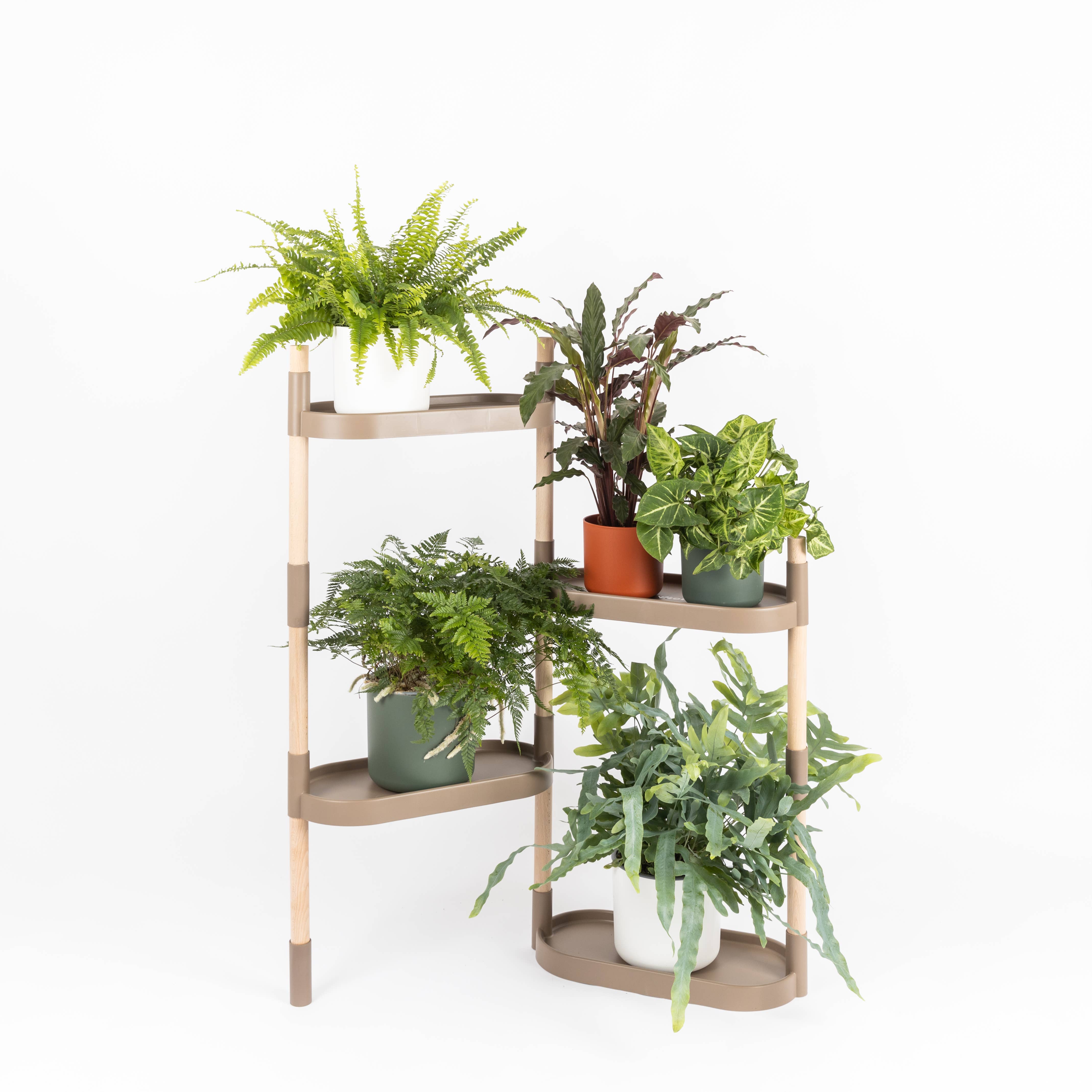 CitySens - Vendita all'ingrosso Mensole da parete - Scaffali modulari per piante CitySens16