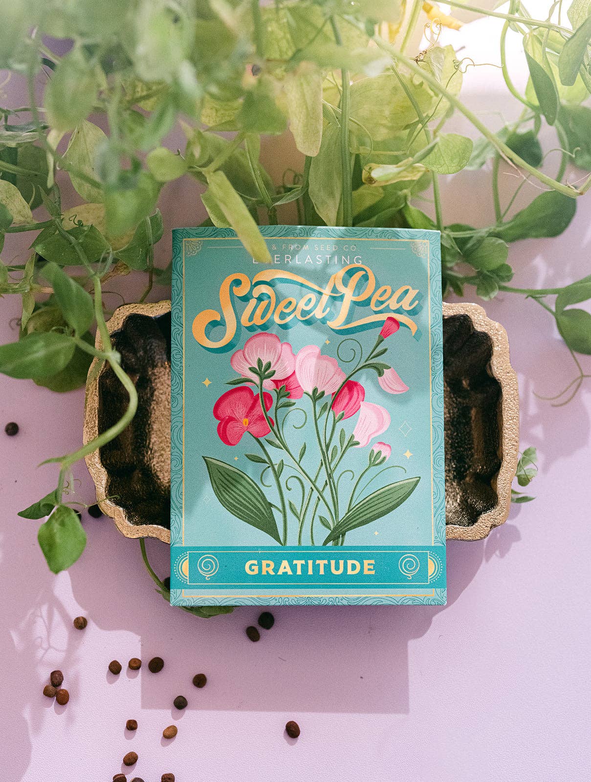 To & From Gift Co. - Vente Graines de plantes - Pois de senteur vivace (Gratitude) - Sachet de graines de floriographie1