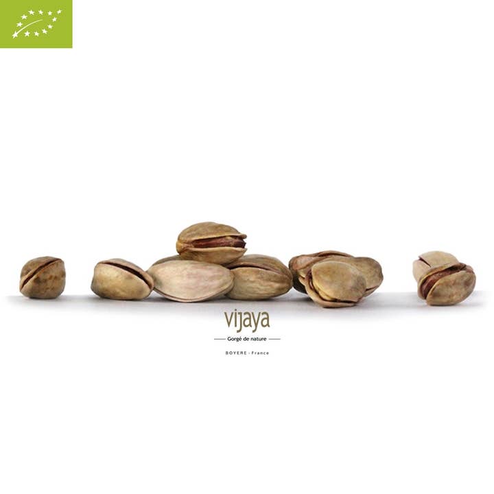 VIJAYA - SAS J.L. BOYERE - Wholesale Dried/Dehydrated Fruit - Natural Shelled Pistachio - SPAIN - 2x10kg - Organic0