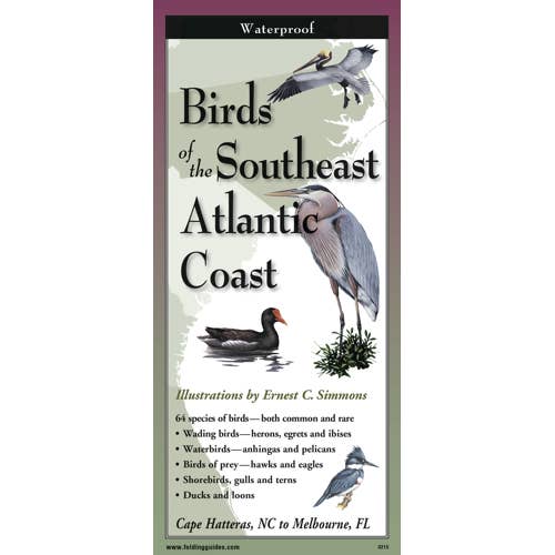 Earth Sky + Water - Wholesale Nature & Outdoors - Birds of the Southeast Atl. Coast