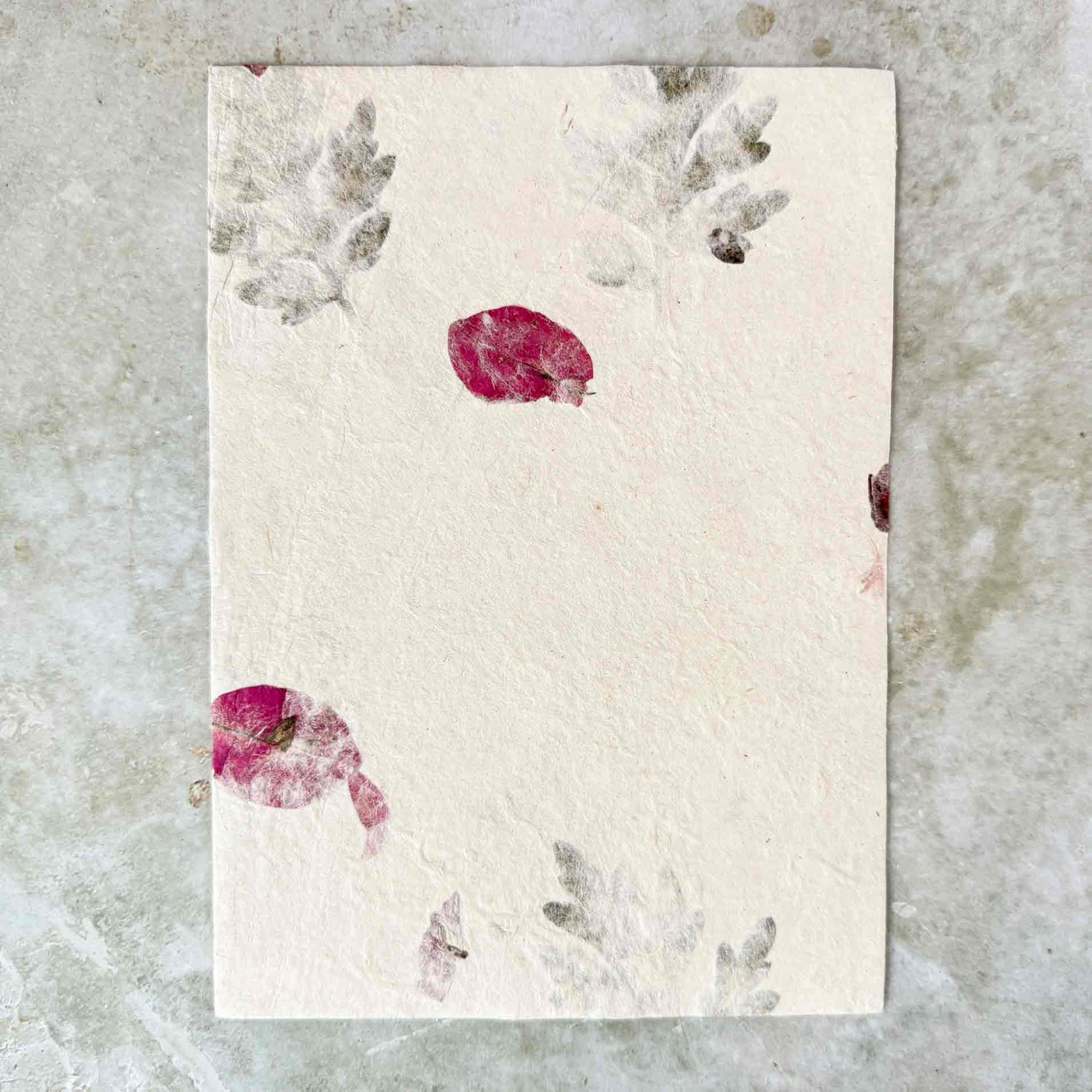 The Natural Paper Company – Conjunto de notas por atacado – Papel e Envelopes Artesanais de Lokta do Nepal - Artemísia & Buganvília1