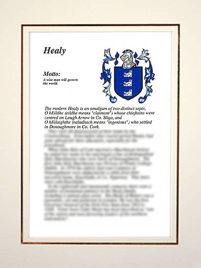 Healy for wholesale by Family Histories