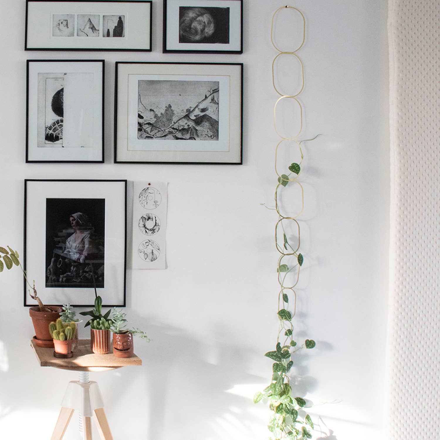 Botanopia - gifts , decor and cards for plant lovers - Wholesale Trellis - Gold Brass Chain - Plant Support for climbing plants4