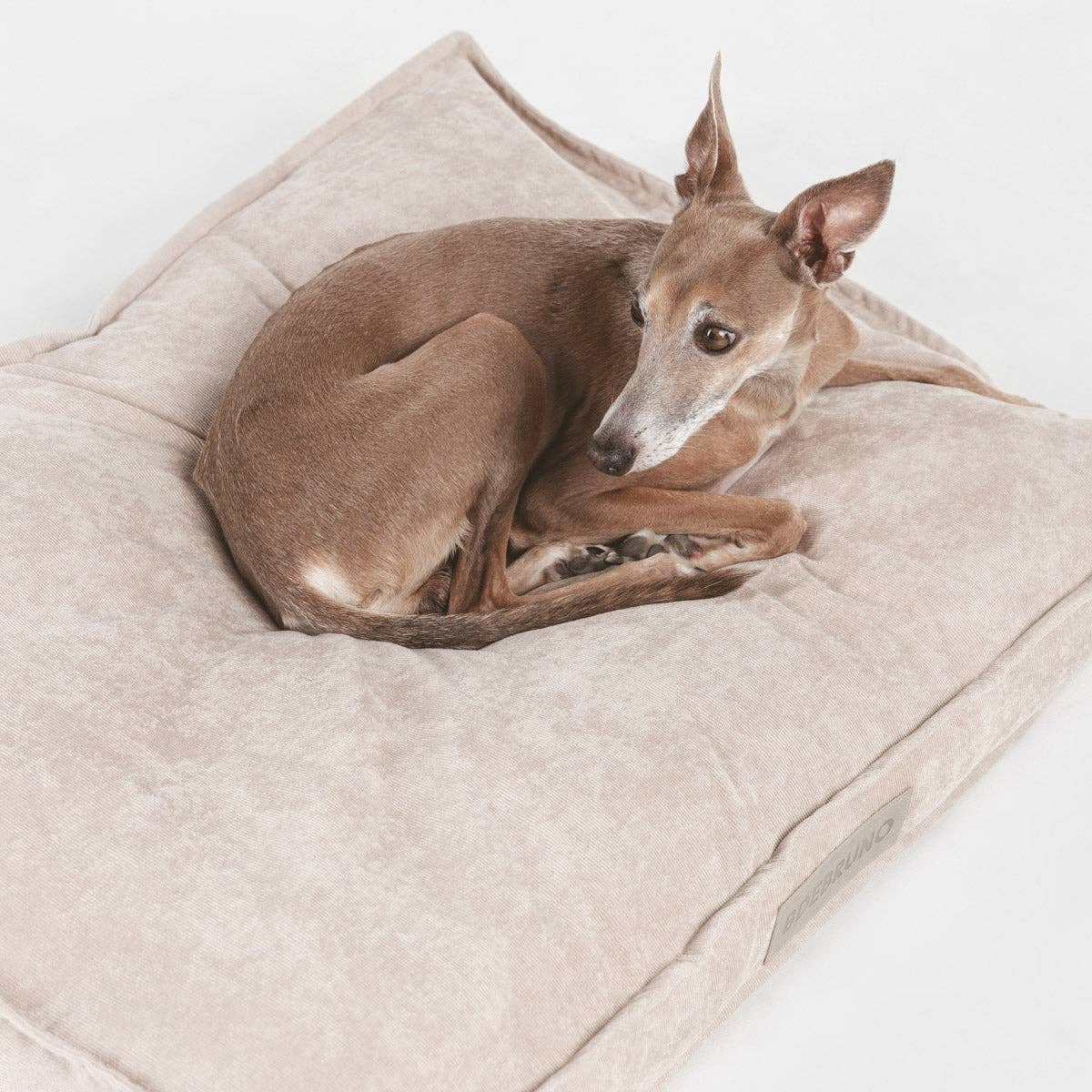 B de Bruno - Wholesale Pet Bed - Dog - Basic Sand Cover0