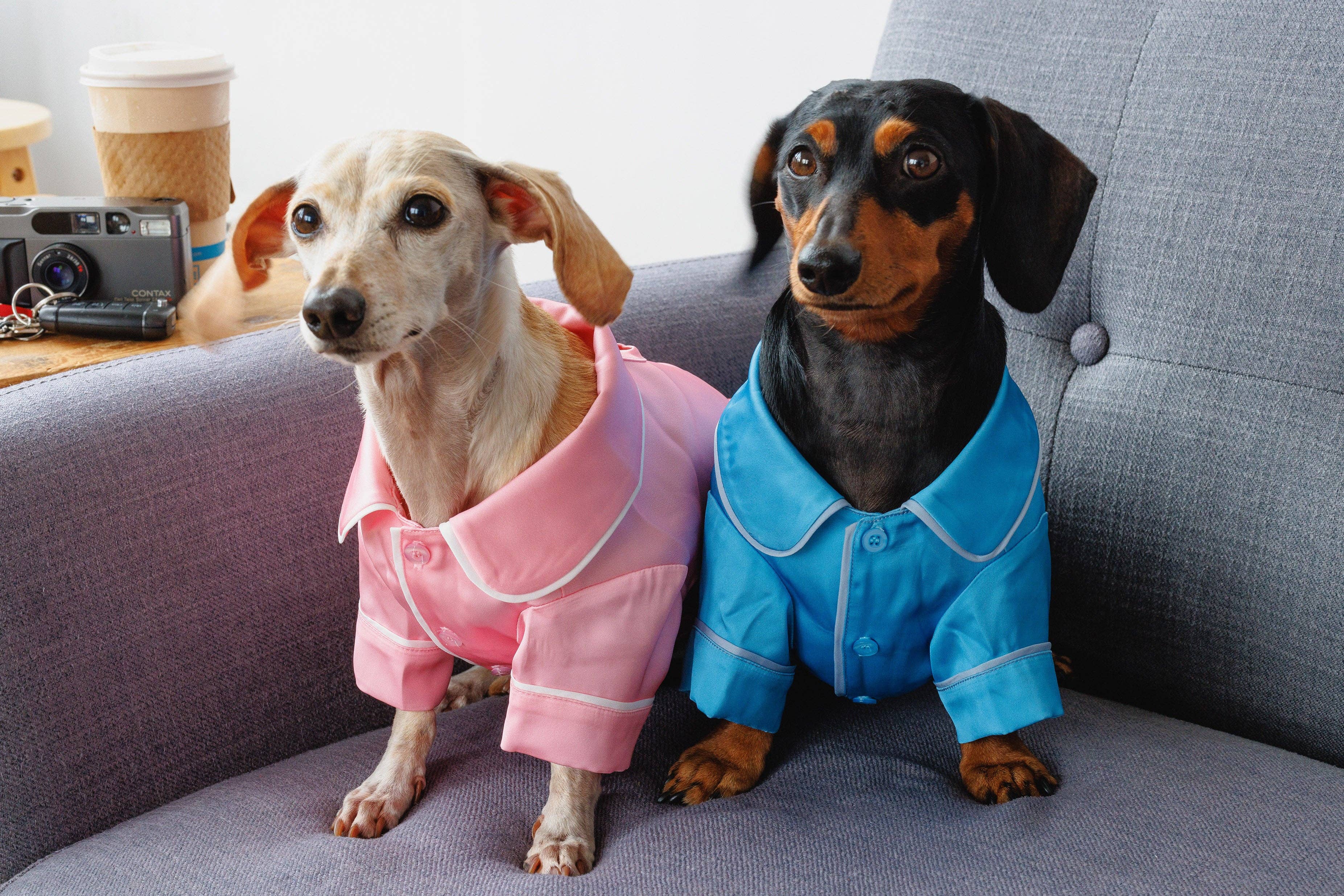 Both Tails - Wholesale Pet Pajamas - Dog - Pink Pet PJs2