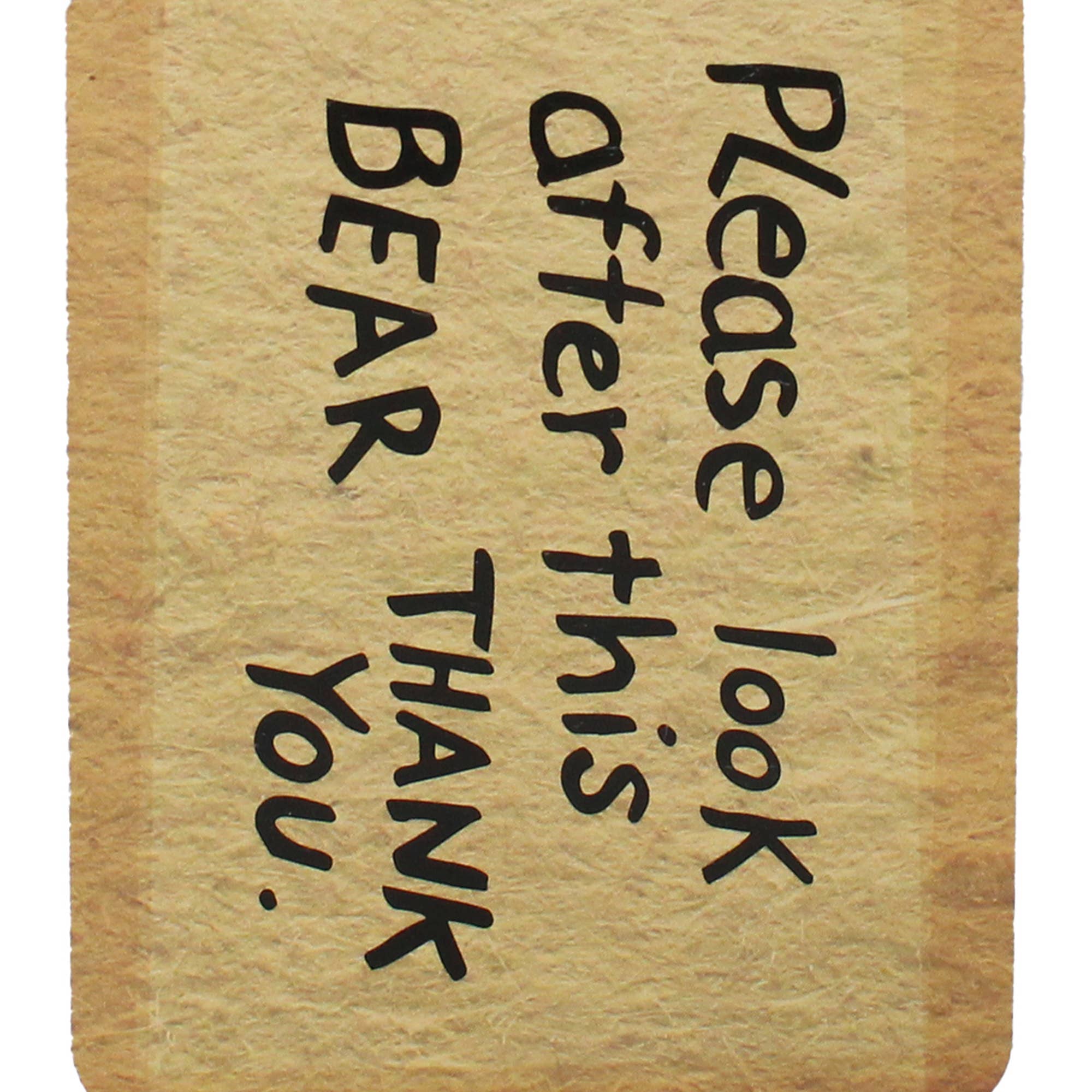 Half Moon Bay - Wholesale Notebook - Pocket Notebook Shaped - Paddington (Tag)2