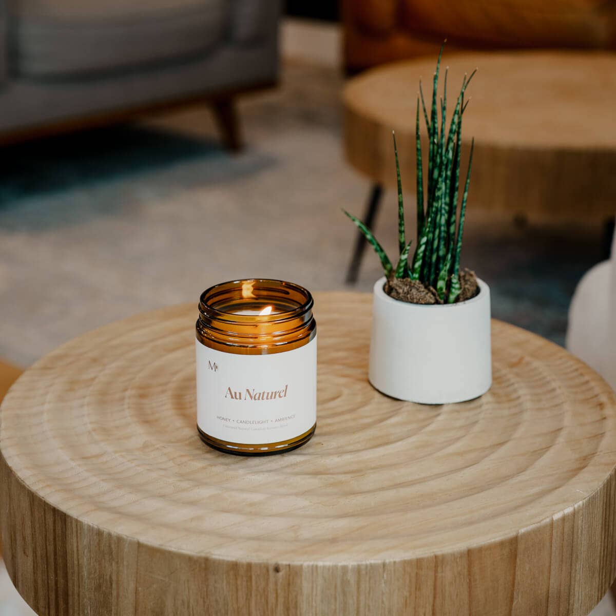 Misiyo Candle Co - Wholesale Jar/Filled Candle - Au Naturel | Unscented Canadian Beeswax Candle3