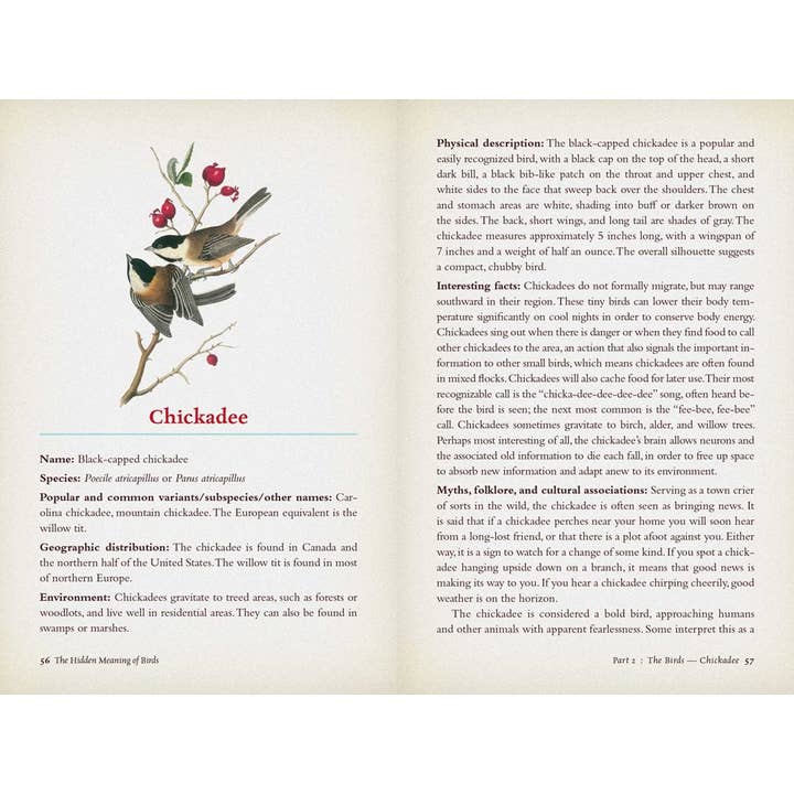 Microcosm Publishing & Distribution - Vente Livre sur la nature et les activités de plein air - La signification cachée des oiseaux : un guide de terrain spirituel4