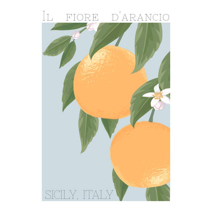 Orangefarbene für den Großhandel von Ellisimo