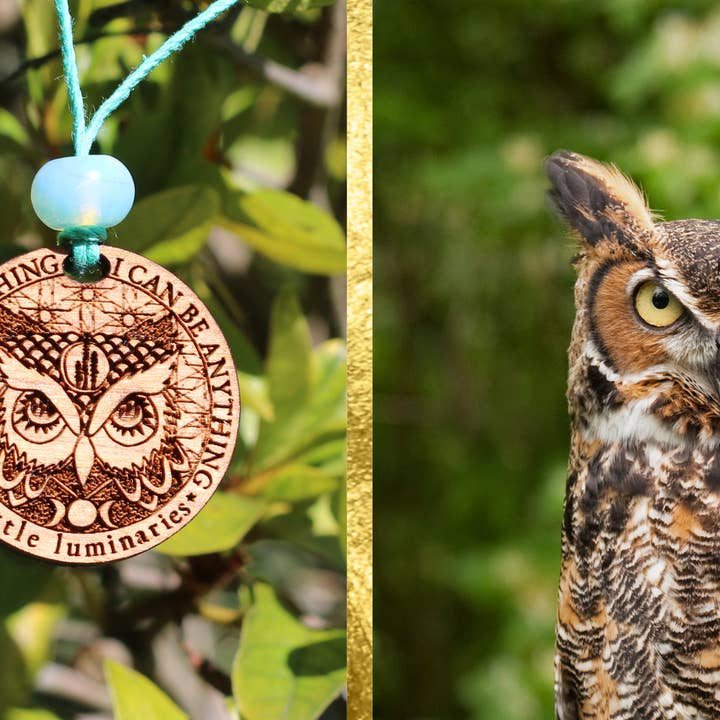 Little Luminaries - Wholesale Pendant/Charm Necklace - Owl Pendant Pal3