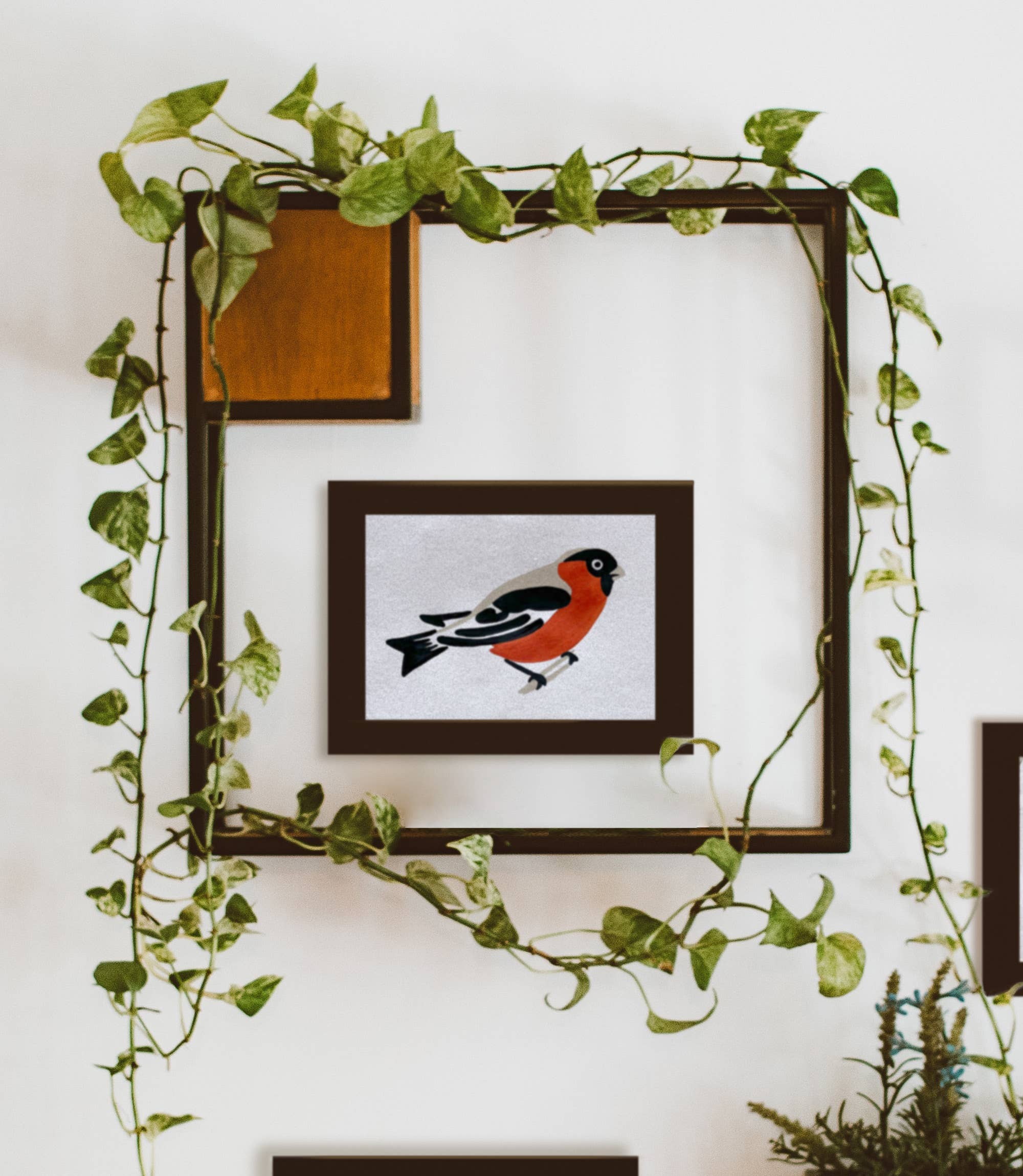 Coloready - Wholesale DIY Craft Kit - Bird Study : Robin  |  Modern Paint By Numbers Kit1