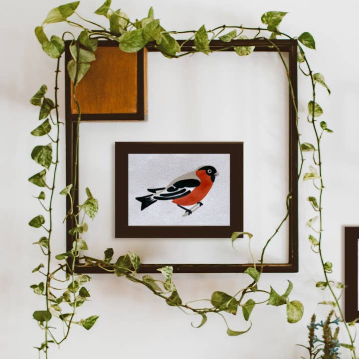 Coloready - Vente Kit de bricolage - Bird Study : Robin | Kit de peinture moderne par numéros1