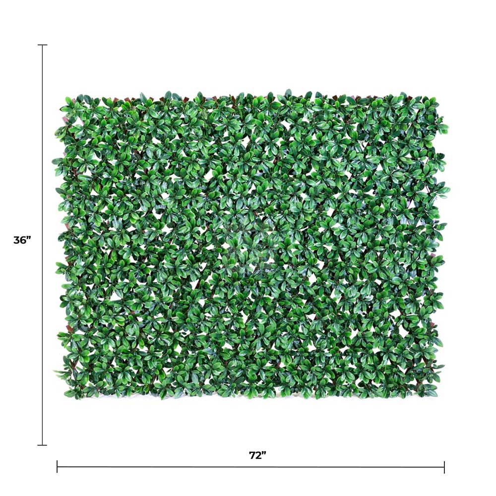 Designer Plants - Wholesale Outdoor Ornament/Decor - Expandable Faux English Laurel Trellis Privacy Fence (Variable Size) UV Resistant - 72" x 36"4