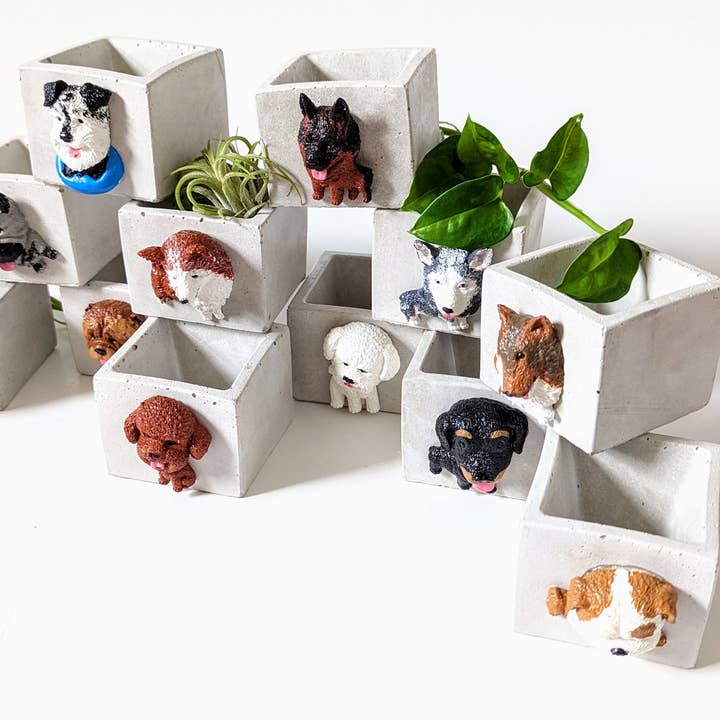 ForgottenProperty - Wholesale Plant pot - Doggo Mini Concrete Planter and Air Plant Holder1