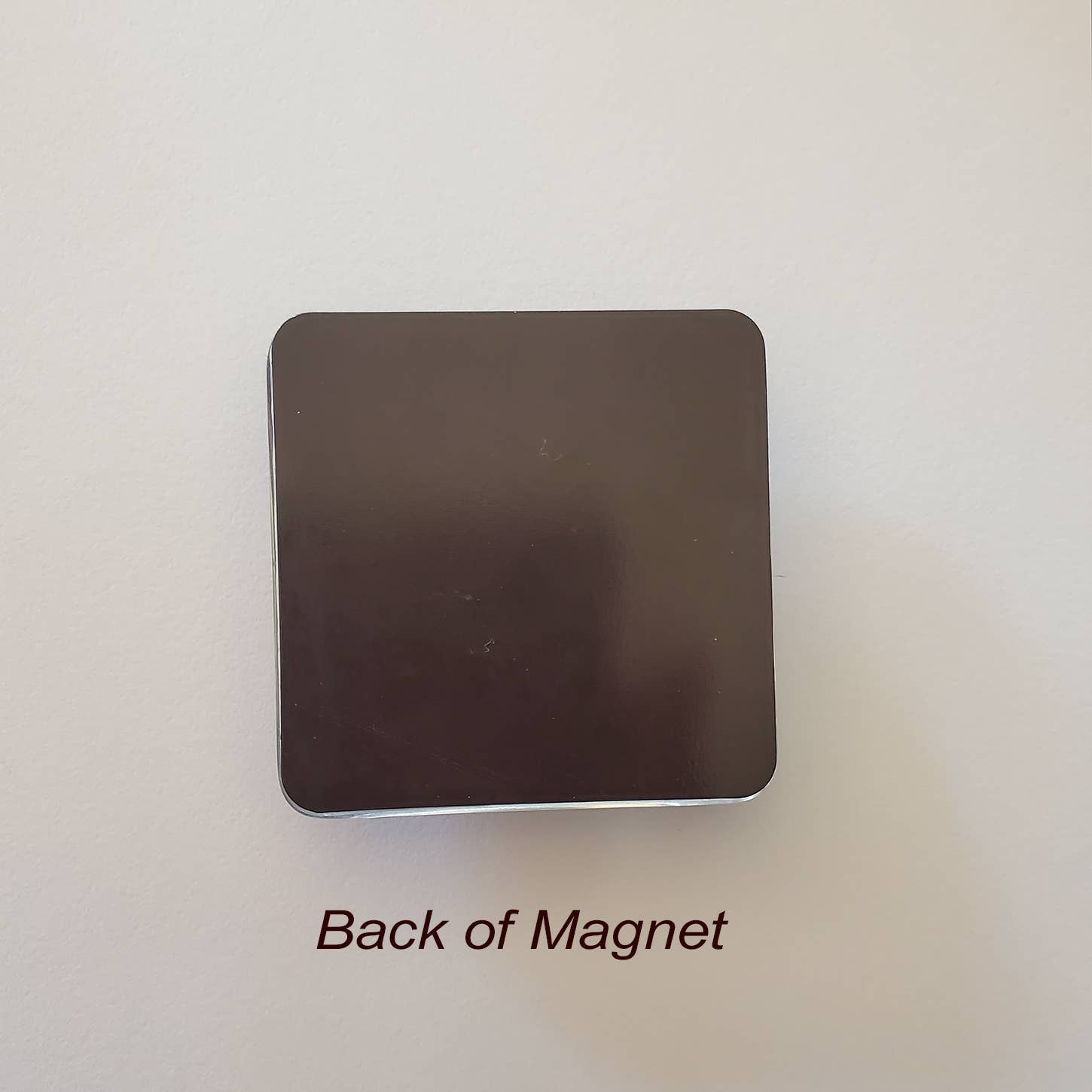 Art by Freddy B. - Wholesale Magnet - The Flower Collection Sampler Pack 12 Glass Magnets3