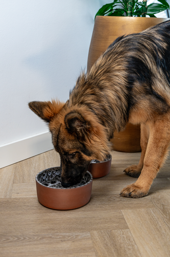 AVA bowls - Venta al por mayor Comedero - Gatos y perros - Cuenco de cerámica para comida Jag1