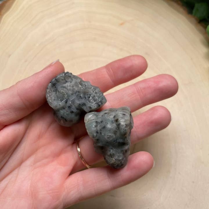 Copper Ashes - Vendita all'ingrosso Pietra/cristallo spirituale - Teschio Demonico in Cristallo27