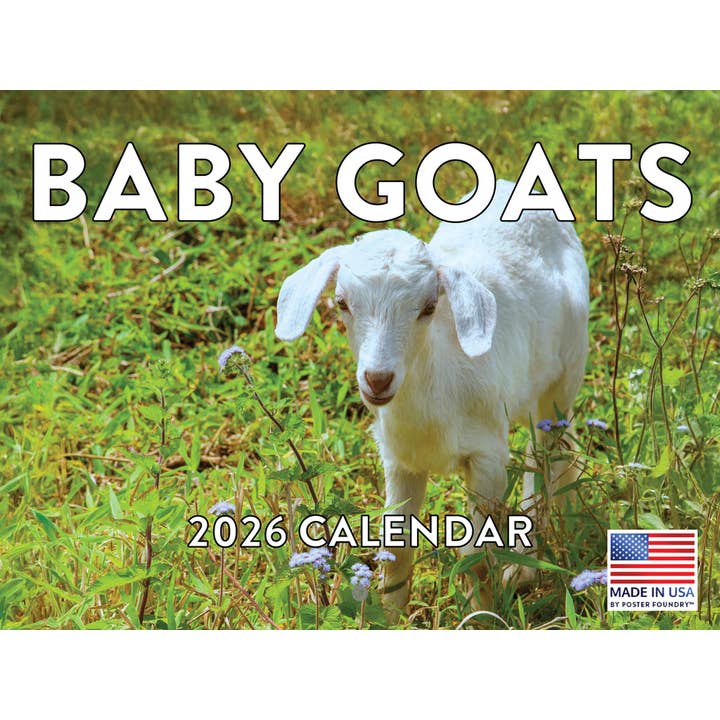 Väggkalender med Killingar 2026 Månadskalender för wholesale av 2026 Calendars