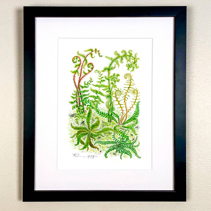 Ormbunkar Print för wholesale av Wildlife By Mouse