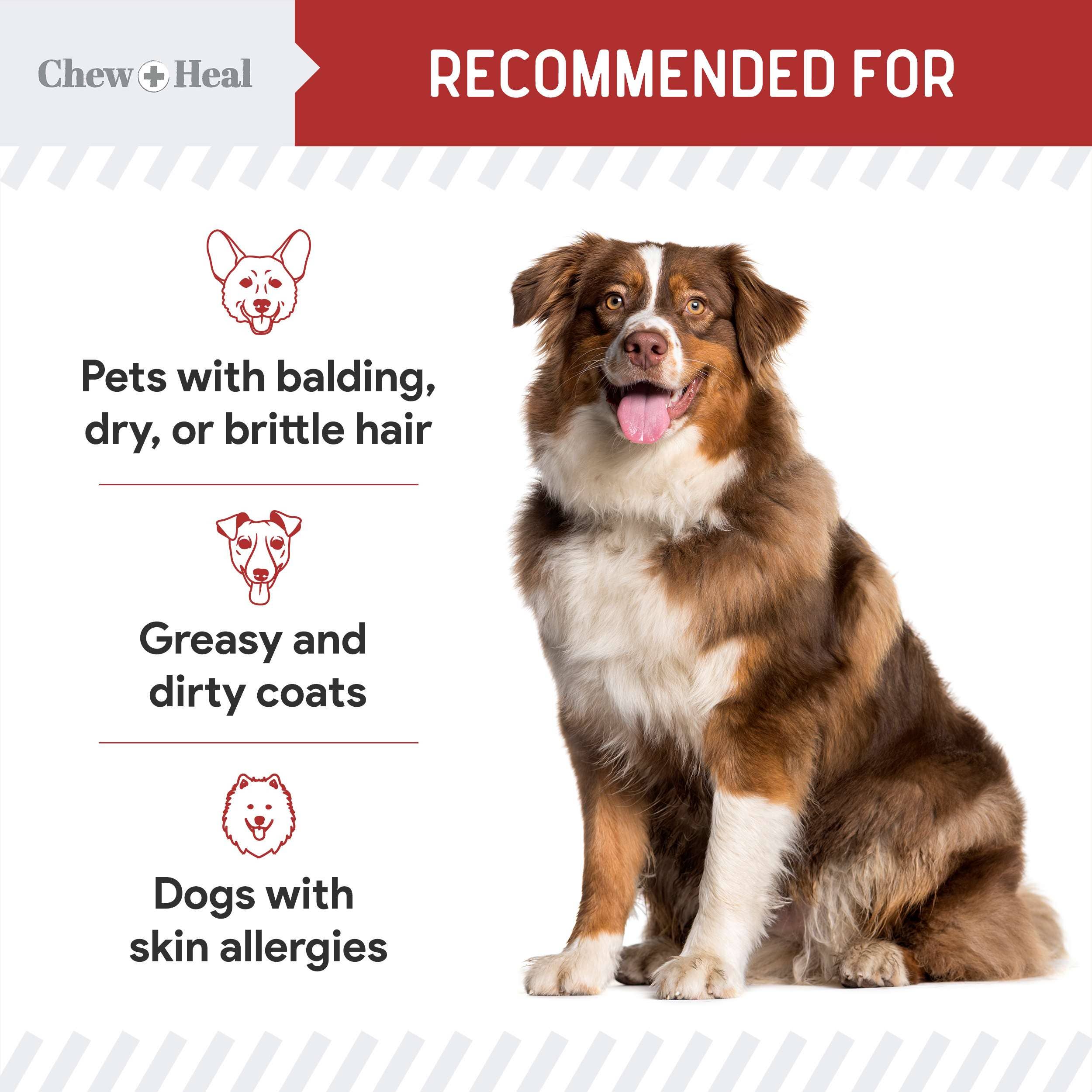 Chew + Heal - Wholesale Pet Supplement - Dog - Omega Skin & Coat Soft Chews - Smoked Bacon Flavor7
