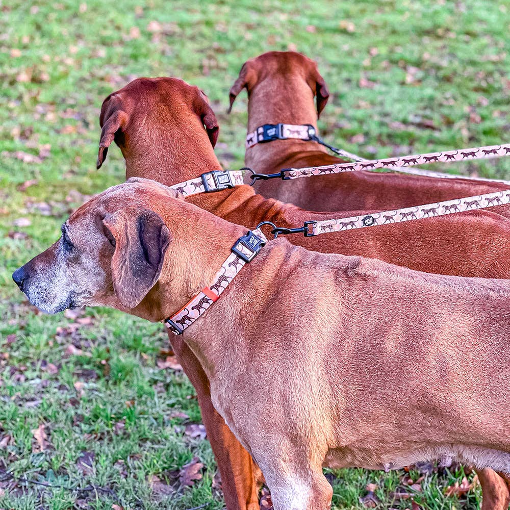 WYLD CUB – wholesale Pet leash – Dog – Kiss Chaser: Dog Lead3