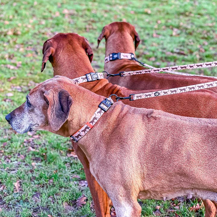 WYLD CUB – wholesale Pet leash – Dog – Kiss Chaser: Dog Lead3