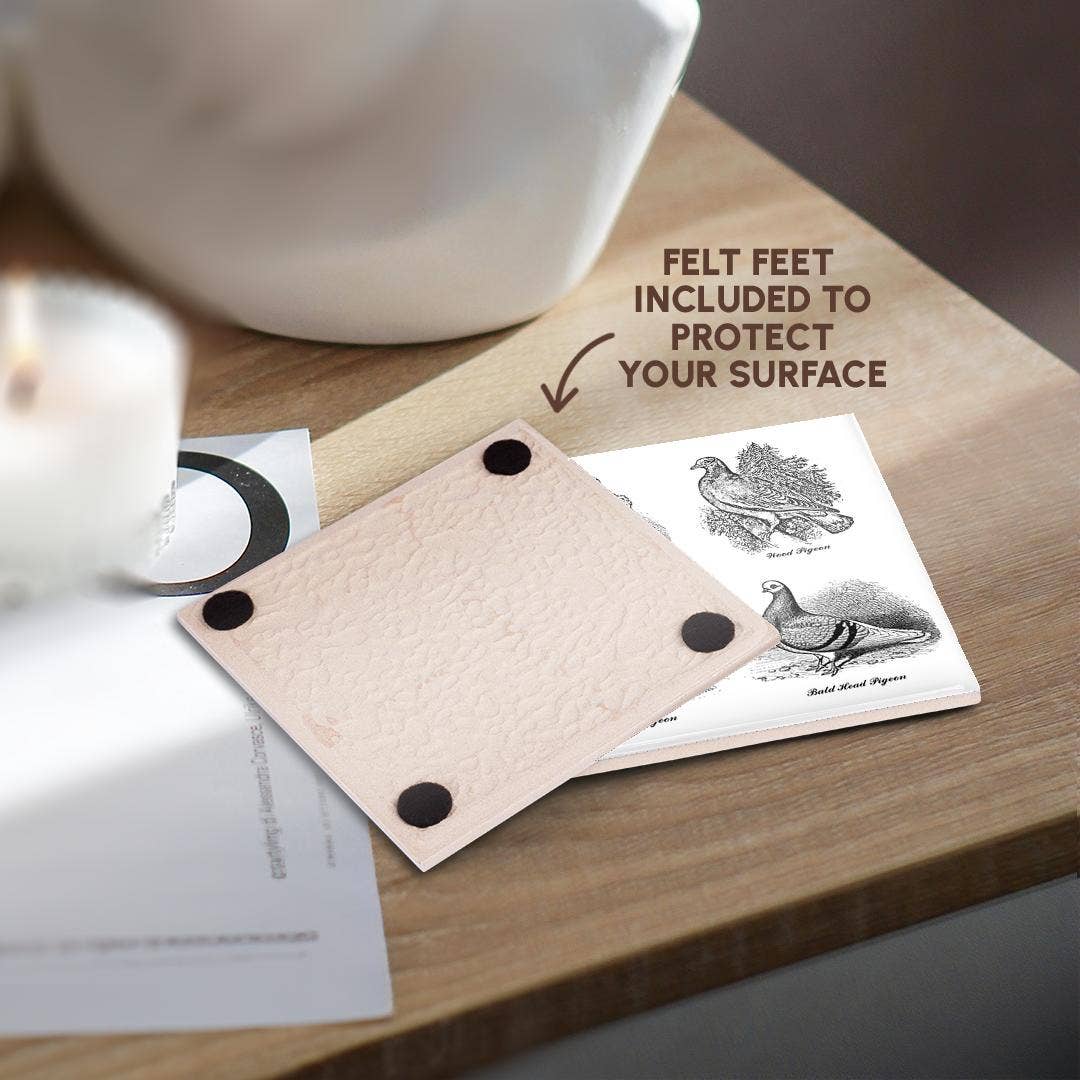 3dRose - Wholesale Coasters - 3dRose, Vintage Breeds of Pigeon Art Illustration Black and White for bird fan, Coaster3