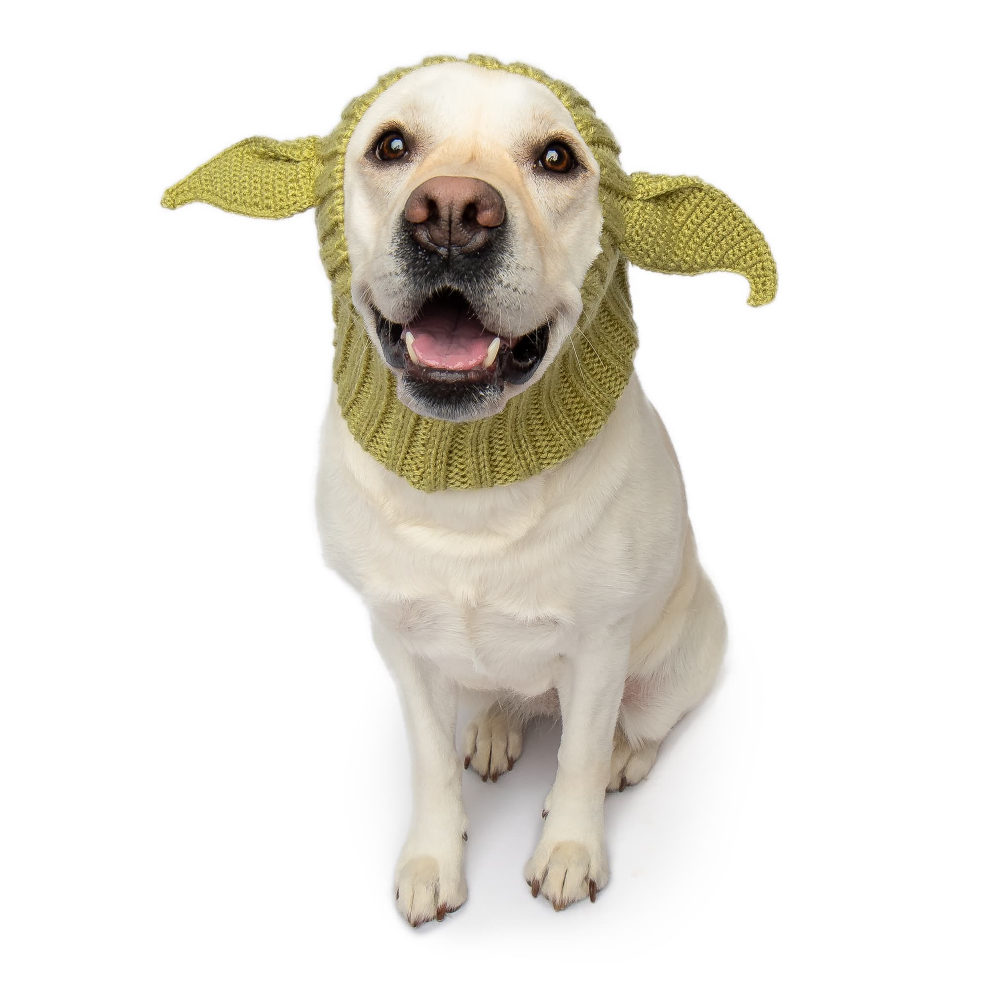 Zoo Snoods - Wholesale Pet Snood - Dog - Baby Alien Dog Snood9