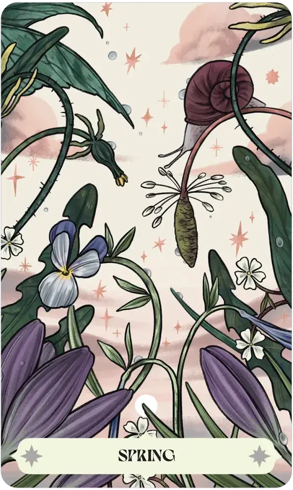 U.S. Games Systems Inc. - Wholesale Tarot Cards - Herbana Witch Oracle7