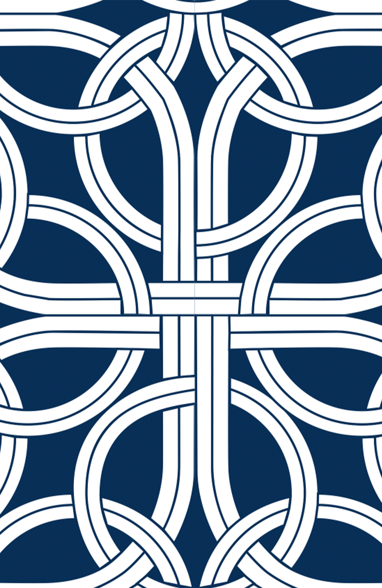 Gretchen Scott LLC – Camisa com botões no colarinho – Mulher por atacado – Top de Manga Bufante - Ring Toss9