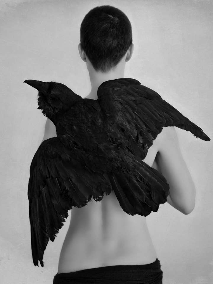 Escalera de los Cuervos - para aquellos que suben en silencio para venta al por mayor de Love Warriors