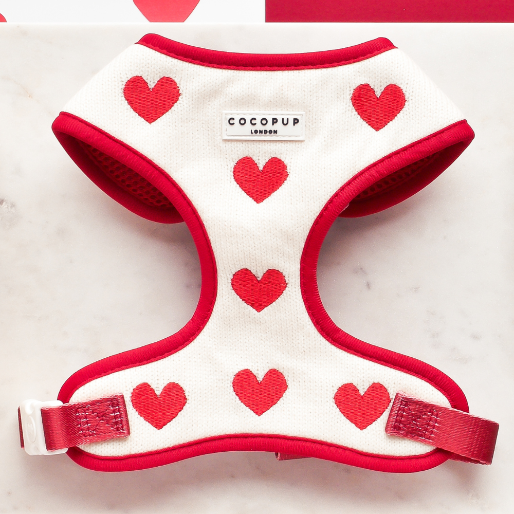 Cocopup London - Wholesale Pet Harness - Dog - Hugs & Knitted Adjustable Neck Harness0