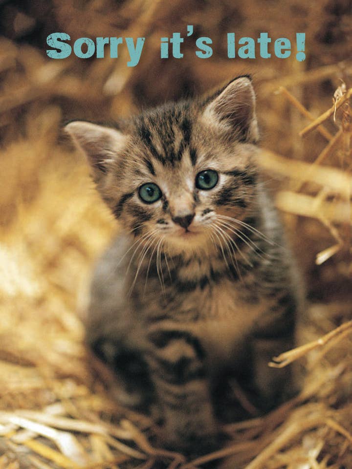 Belated Birthday Card - Kitten In Straw for wholesale by Leonard Smith