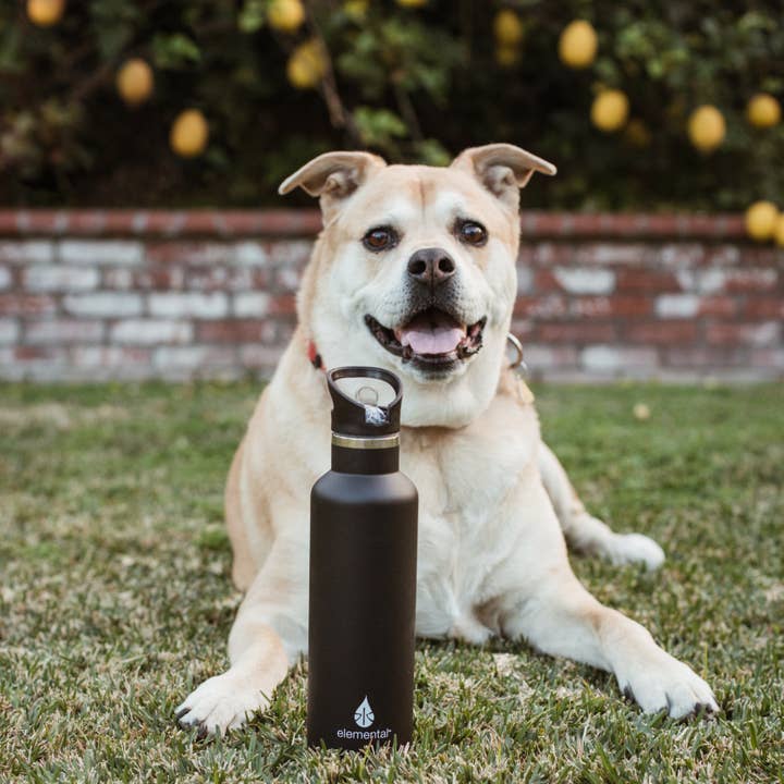Elemental - Wholesale Water Bottle - Bottle - 25oz Classic Bamboo Black Stainless Steel