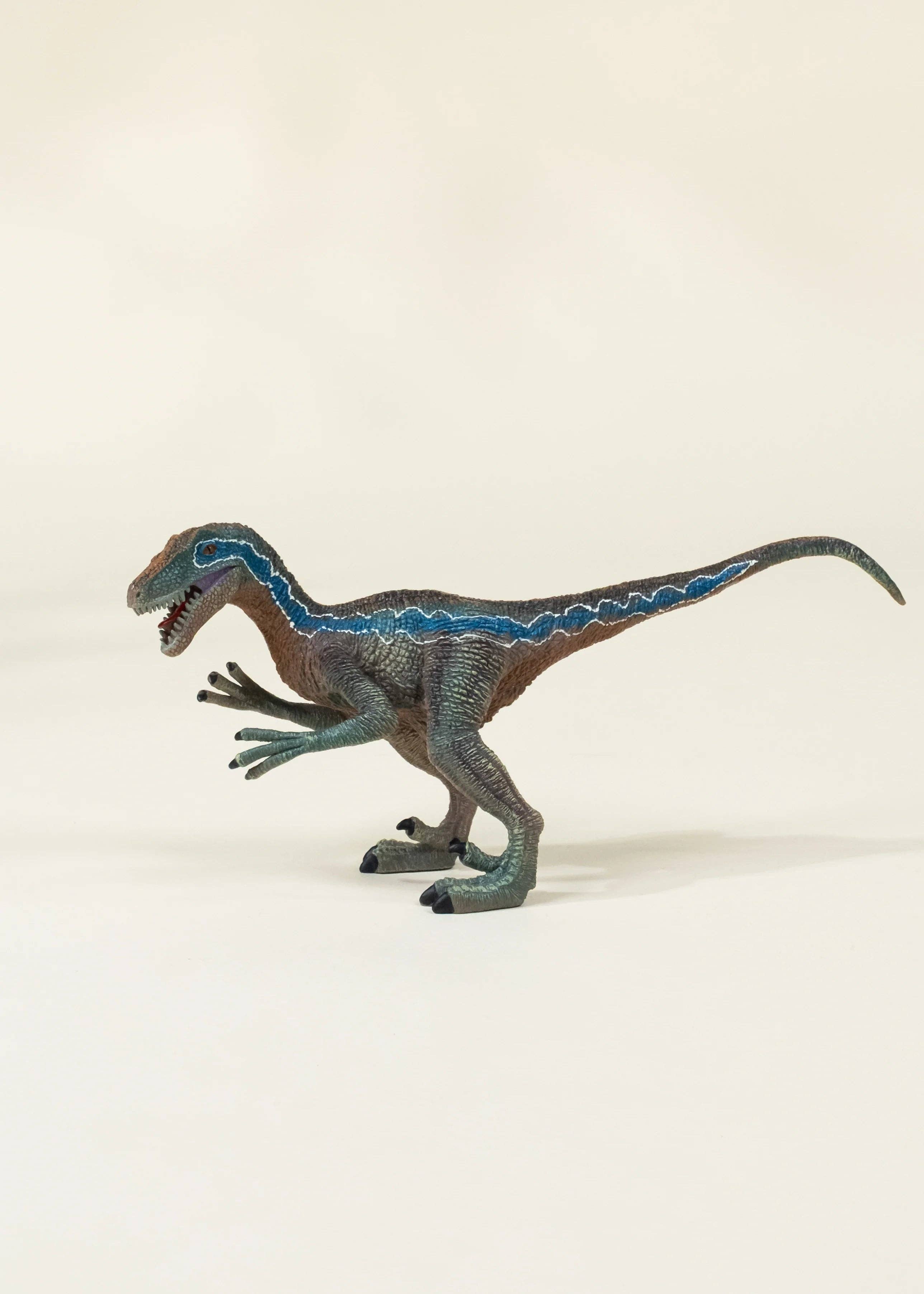 Coco Village - Wholesale Figurine Toy - Kids - Velociraptor Dinosaur in a Collectible Box5